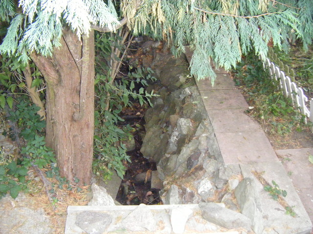dscf2118.jpg